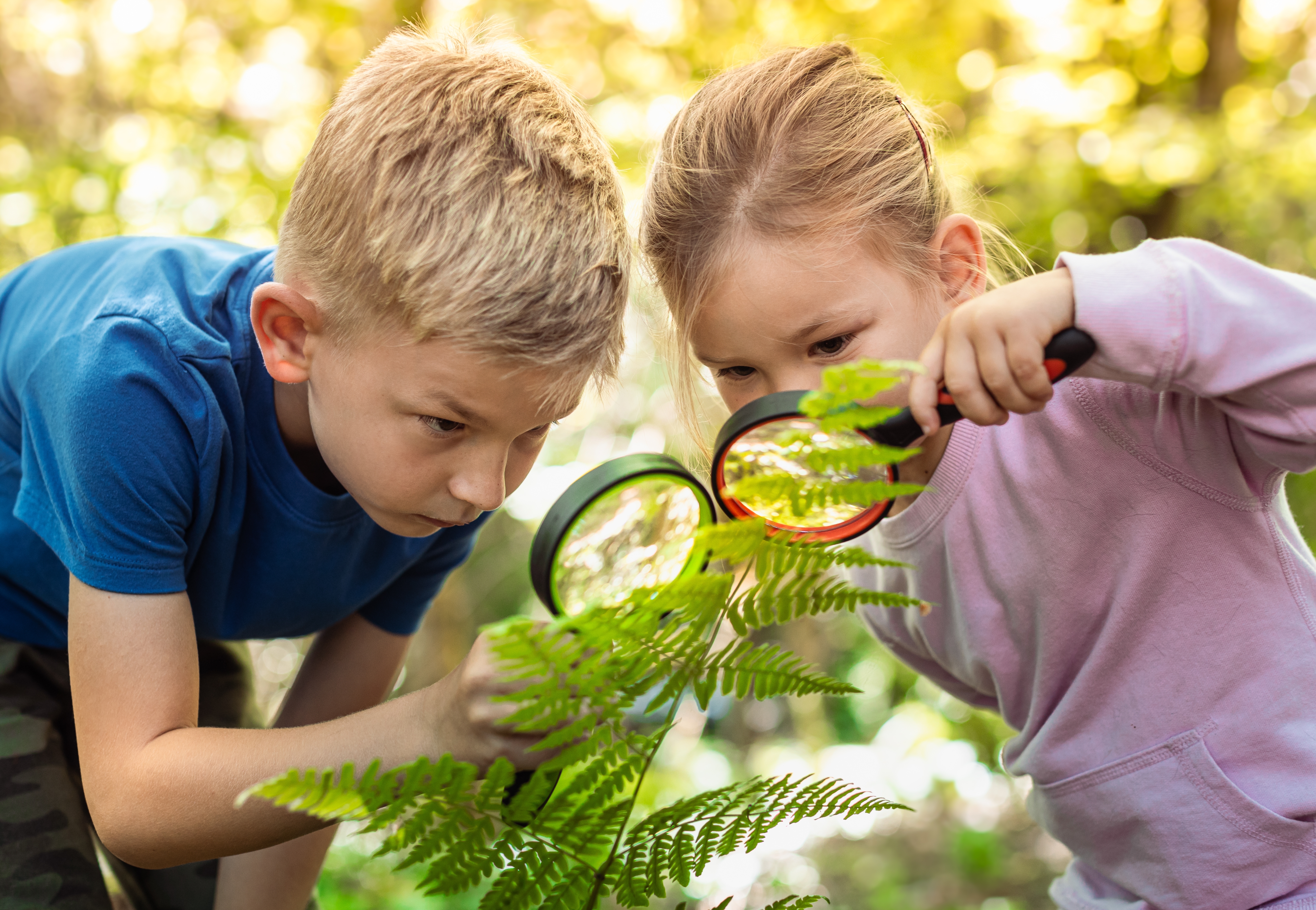 Kinderen met vergrootglas